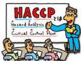 haccp