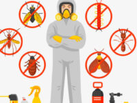 A IMPORTÂNCIA DO CONTROLO DE PRAGAS NAS INSTALAÇÕES ALIMENTARES