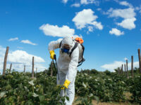 BOAS PRÁTICAS NO MANUSEAMENTO E ARMAZENAMENTO DE FITOFÁRMACOS